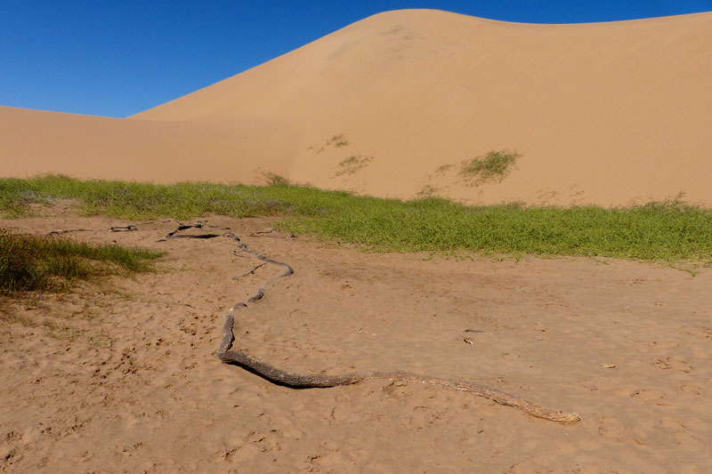 Namibia